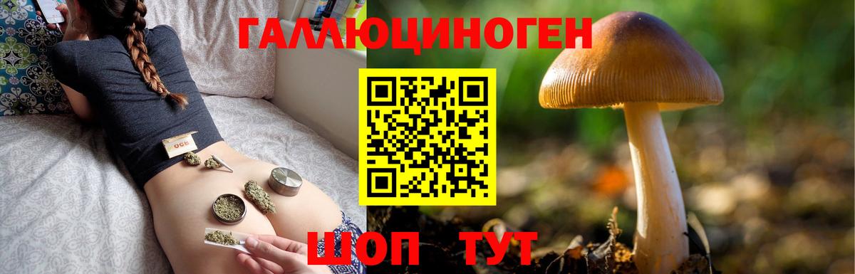 Гатчина  Галлюциногенные грибы MAGIC MUSHROOMS  Вход с VPN  Псилоцибиновые грибы Psilocybe 